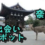 奈良市　アラサー　出会いの場